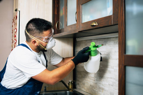 Best Exterminator Services  in Greentree, NJ