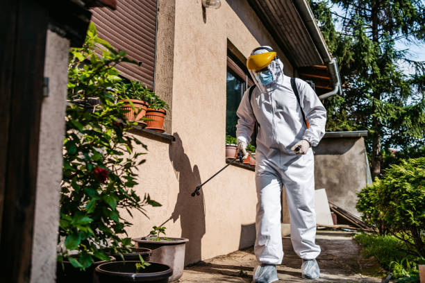 Best Flea Control Services  in Greentree, NJ