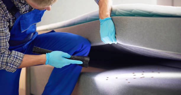 Best Wasp Removal Services  in Greentree, NJ