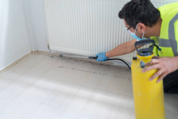Best Pest Removal Services  in Greentree, NJ