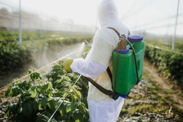Best Insect Control  in Greentree, NJ